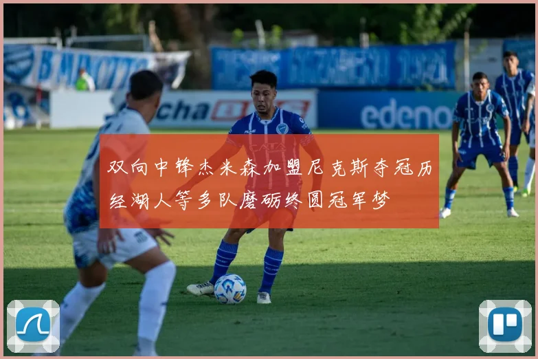 双向中锋杰米森加盟尼克斯夺冠历经湖人等多队磨砺终圆冠军梦